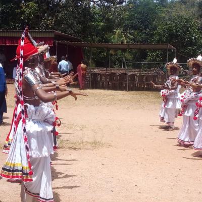 8f5fc88b Ac9b 4085 B82f Db45f0993145